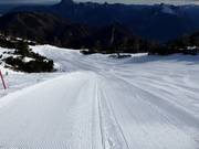 Schwere Abfahrt Gruber Spezial