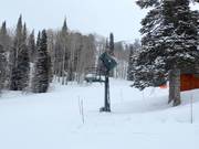 Schneekanone im Skigebiet Grand Targhee