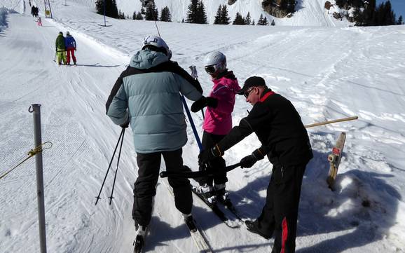 Saanetal: Freundlichkeit der Skigebiete – Freundlichkeit Rinderberg/Saanerslochgrat/Horneggli – Zweisimmen/Saanenmöser/Schönried/St. Stephan