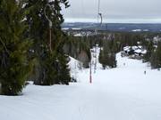 L14 Höken - Tellerlift