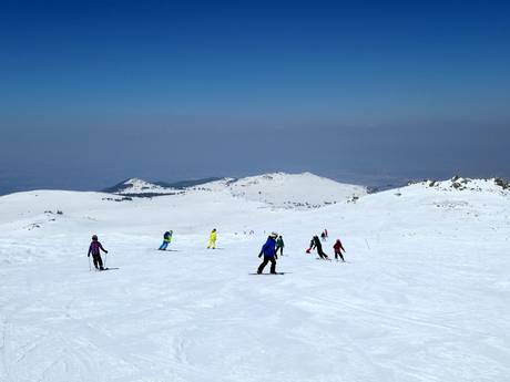 Bulgarien: Testberichte von Skigebieten – Testbericht Vitosha/Aleko – Sofia