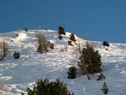 Tiefschneehänge am Skilift Aela