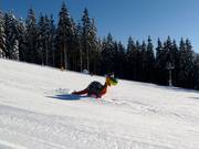 Tipp für die Kleinen  - Kinderland Reitlehen