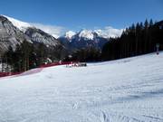 Anfängerwiese Holzstube