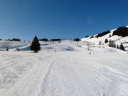 Leichte Pisten an der Sesselbahn Euro