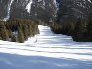 Beite und steile Waldabfahrt