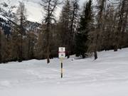 Befahren von Waldflächen verboten