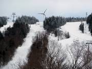 Abfahrten am Vista Peak