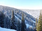 Blick auf die Double Diamond Abfahrten auf der Rückseite