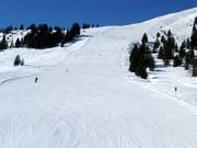 Breite Piste Nr. 64 Bärenbadkogel 2