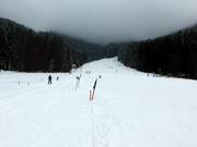 Übungslift und Muli 2