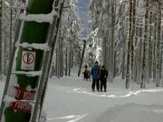 Pancíř vlek - Schlepplift mit T-Bügel/Anker