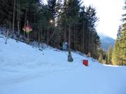 Tipp für die Kleinen  - Märchenwald Vierschach