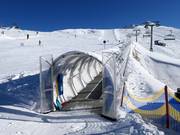 Almwiese - Förderband/Zauberteppich mit Überdachung