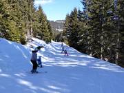 Leichte Piste Kleinlachtalweg