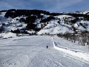 Am Bründlstadl gibt es flache, breite Pisten