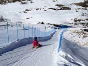 Tipp für die Kleinen  - Rodelbahn Grünboden