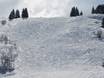 Skigebiete für Könner und Freeriding Albertville – Könner, Freerider Espace Diamant – Les Saisies/Notre-Dame-de-Bellecombe/Praz sur Arly/Flumet/Crest-Voland
