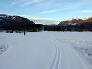 Beschneite Loipen in Reischach