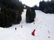 Bernards - Tellerlift