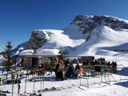 Berghütten Tipp Dohlennest