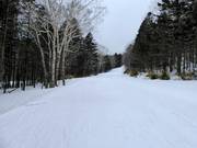 Leichte Piste Second Central Road