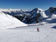 Leichte Olympia Damenabfahrt