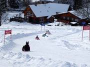 Tipp für die Kleinen  - Zipflbob an den Drachenliften