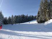 Südabfahrt Rittisberg