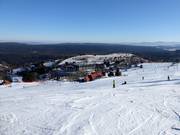 Piste Nr. 33 W5 Lewa