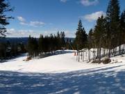 Typische Waldabfahrten im Oslo Vinterpark