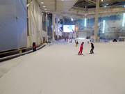 Übungshang mit Förderband