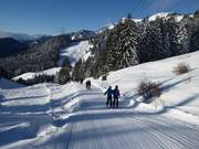 Florihanglift 1 - Schlepplift mit T-Bügel/Anker