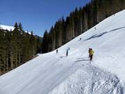 Sportliche Abfahrt Chuenis-Bergläger