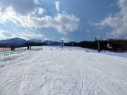 Breite und leichte Piste Family