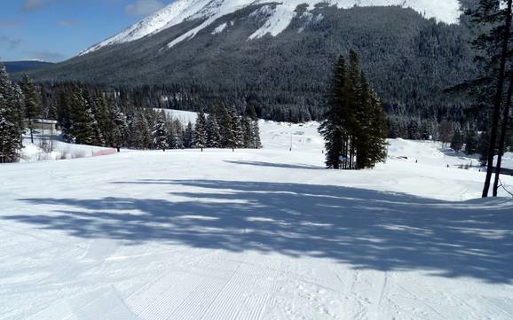 Skigebiete für Anfänger in der Clark Range – Anfänger Castle Mountain