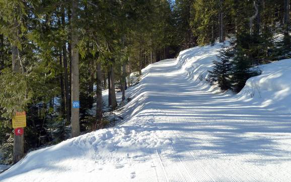 Langlauf Lizard Range – Langlauf Fernie