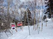 Gate zu den ausgeholzten Waldabfahrten