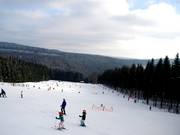 Schwedenhang – dank südlicher Exposition besonders sonnig.