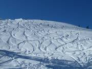 Auch Freeriden ist möglich