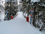 Talabfahrt nach Adelboden-Oey