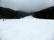 Leiste Piste am Übungslift