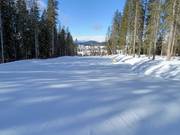 Leichte Abfahrt Hubertus