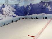 Anfängerbereich in der Skihalle Chill Factore
