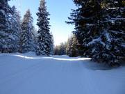 Verbindungspiste zu den Skiliften
