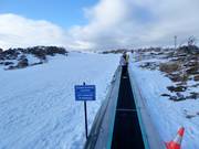 Pony Ride Carpet - Förderband