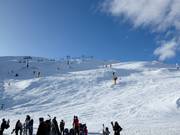 Pisten Pro Am und Shirt Front