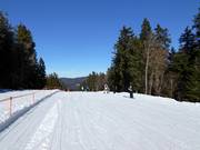 Leichte Familienstrecke an der Sonnenhang-Sesselbahn