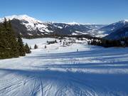 Piste Nr. 84 Filzstein