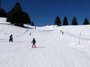 Leichte Pisten am Seillift Madils